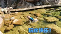 VLOG | 带狗自驾武夷山 | 宠物友好景区：大安源