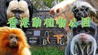 大咖云集！香港动植物公园（下）｜藏在老式展区里的国内独展