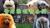 大咖云集！香港动植物公园（下）｜藏在老式展区里的国内独展