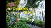 跟着辰山植物园执行园长 在上海温室花园看门道
