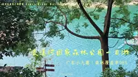 🌟 打脸现场| 广东小九寨！实测比滤镜美-流溪河国家森林公园一日游vlog