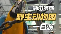 鄂尔多斯野生动物园一日游：自然，我们从未远去