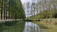 合肥大圩生态农业游，美景掠影！