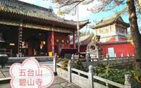 游山西五台山之碧山寺，此寺为五台山最大的十方禅寺，广济茅蓬