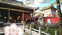 游山西五台山之碧山寺，此寺为五台山最大的十方禅寺，广济茅蓬