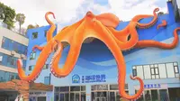 大理海洋世界