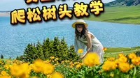 赛里木湖 爬松树头教学，避免爬错了路线，白爬了