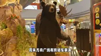 与猛兽擦肩而过？北京八达岭野生动物世界必看攻略
