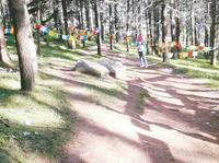 穿越南台锦绣峰