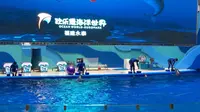 福州永泰欧乐堡海洋世界