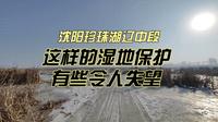 沈阳珍珠湖辽中段，这样的湿地保护有些令人失望！