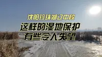 沈阳珍珠湖辽中段，这样的湿地保护有些令人失望！