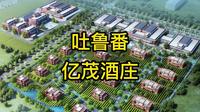 吐鲁番亿茂酒庄