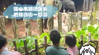 佛山市顺德区长鹿休博园一日游