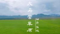 甘肃·张掖·大马营草原·山丹军马场vlog