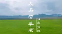 甘肃·张掖·大马营草原·山丹军马场vlog