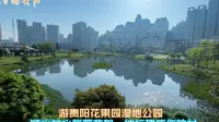 春日游贵阳市花果园湿地公园，顺心养心紫藤花架，地标建筑作陪衬