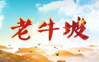 内蒙古第二届短视频大赛 参赛作品展映——“四个”老牛坡，红色永流传