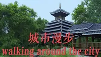 【4k】在城市中散步（沈阳植物园）