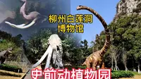 柳州白莲洞洞穴科学博物馆，有个动物群场景和露天史前动植物园