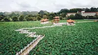 【安龙县】招堤风景区(航拍）——夏末碧绿