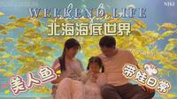 带三岁小朋友到北海海底世界看美人鱼