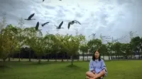 在崇明区的西沙明珠湖景区，每天上午10：30和下午14：00都会准时上演精彩绝伦的大雁放飞表演。