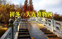 大连citywalk拍照打卡推荐地-大连植物园