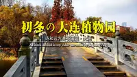 大连citywalk拍照打卡推荐地-大连植物园