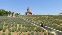 南京大塘金香草园｜五一假期｜一日游vlog ｜薰衣草庄园～粉红沙滩～霍比特村～极光秀～烟花表演