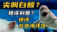 尖叫白鲸？错误科普？锐评北京海洋馆海水篇！