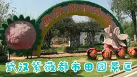武汉紫薇都市田园，国内独创植物编织百家姓，获多个教育示范基地