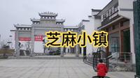 豫东白芝麻产地平舆，打造的休闲娱乐主题乐园蓝天芝麻小镇
