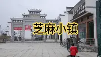 豫东白芝麻产地平舆，打造的休闲娱乐主题乐园蓝天芝麻小镇