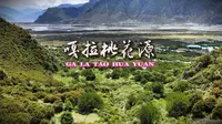 西藏林芝嘎拉桃花源 一幅如诗如画的美景