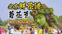 北京鲜花港菊花节，现场实拍，真的有花海吗？