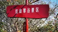 红山翠谷景区门票特价票优惠团购票游玩攻略免票政策营业时间济南旅游