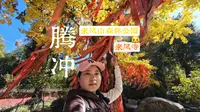 独自一人来到腾冲来凤山森林公园来凤寺遇见好多猫咪被它们的可爱治愈啦