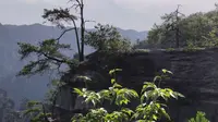武陵源天子观景台很美#张家界