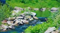 通明山自然风景区小桥流水哗啦啦
