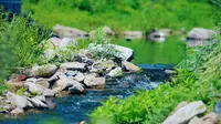 通明山自然风景区小桥流水哗啦啦