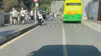 仙湖植物园环线观光线全程