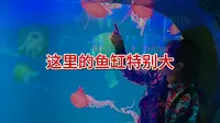 兰州海德堡极地海洋世界