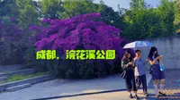 成都景点推荐，成都浣花溪公园