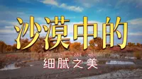 从胡杨林到沙漠 罗布人村寨神女湖方向观光车视角