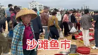 探访海口荣山寮村，海南独有的沙滩鱼市“竞拍”现场