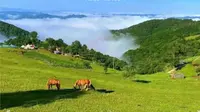 驻村｜甘肃庄浪朝那湫