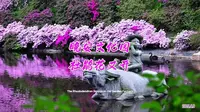 晚安文化园，杜鹃花又开#踏春#长沙