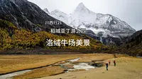 川西行21  稻城亚丁游之四  洛绒牛场美景