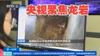 央视财经频道《第一时间》福建龙岩：梅花山华南虎繁育基地迎来新生虎宝宝